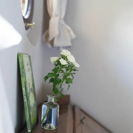 La Rose Du Petit Bois B&B