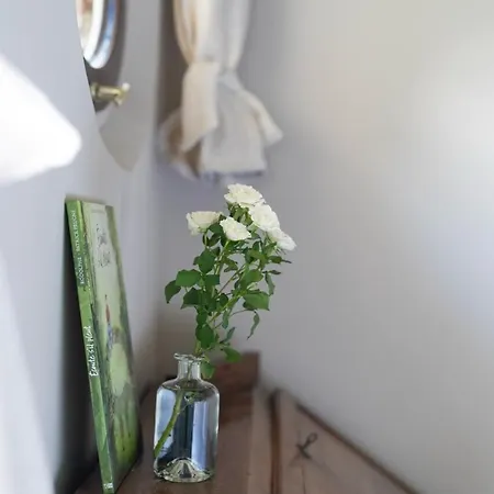 Bed & Breakfast La Rose Du Petit Bois *